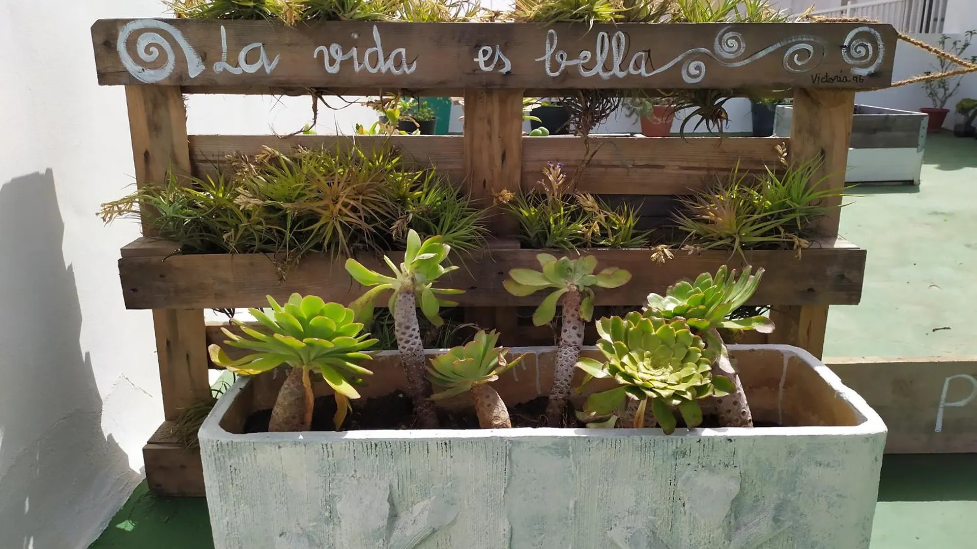 Comfortable Apartment In The North Of Tenerife El El Sauzal España